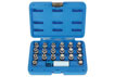 6276 Locking Wheel Nut Key Set 21pc - for BMW